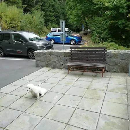 Karlov Pod Pradedem Daire *