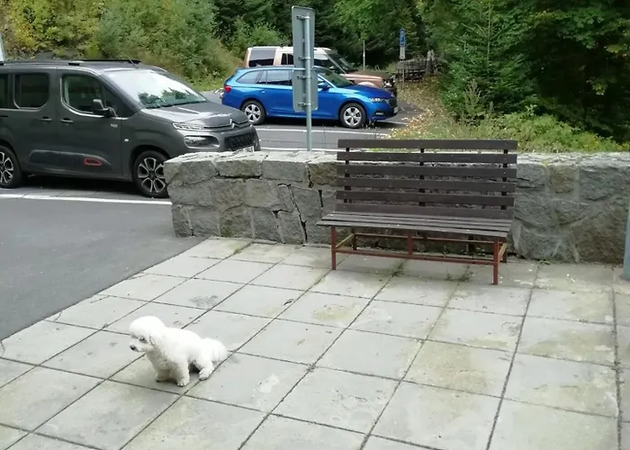 Karlov Pod Pradedem Apartment *