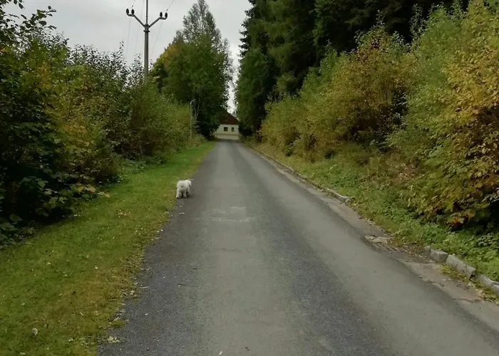 Apartment Karlov Pod Pradedem